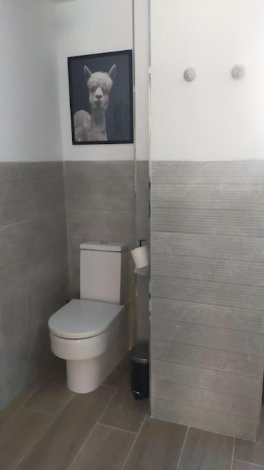 Apartamento Laurana Santander Eksteriør billede